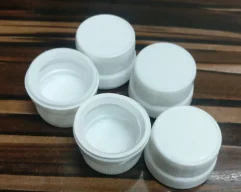 22mm-plastic-dual-seal-cap-500×500 22mm-plastic-dual-seal-cap-500x500